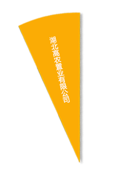 S36沙龙会 - 要玩就玩沙龙会
