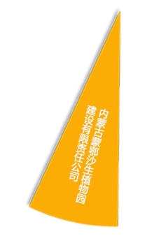 S36沙龙会 - 要玩就玩沙龙会