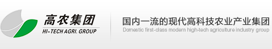 S36沙龙会 - 要玩就玩沙龙会