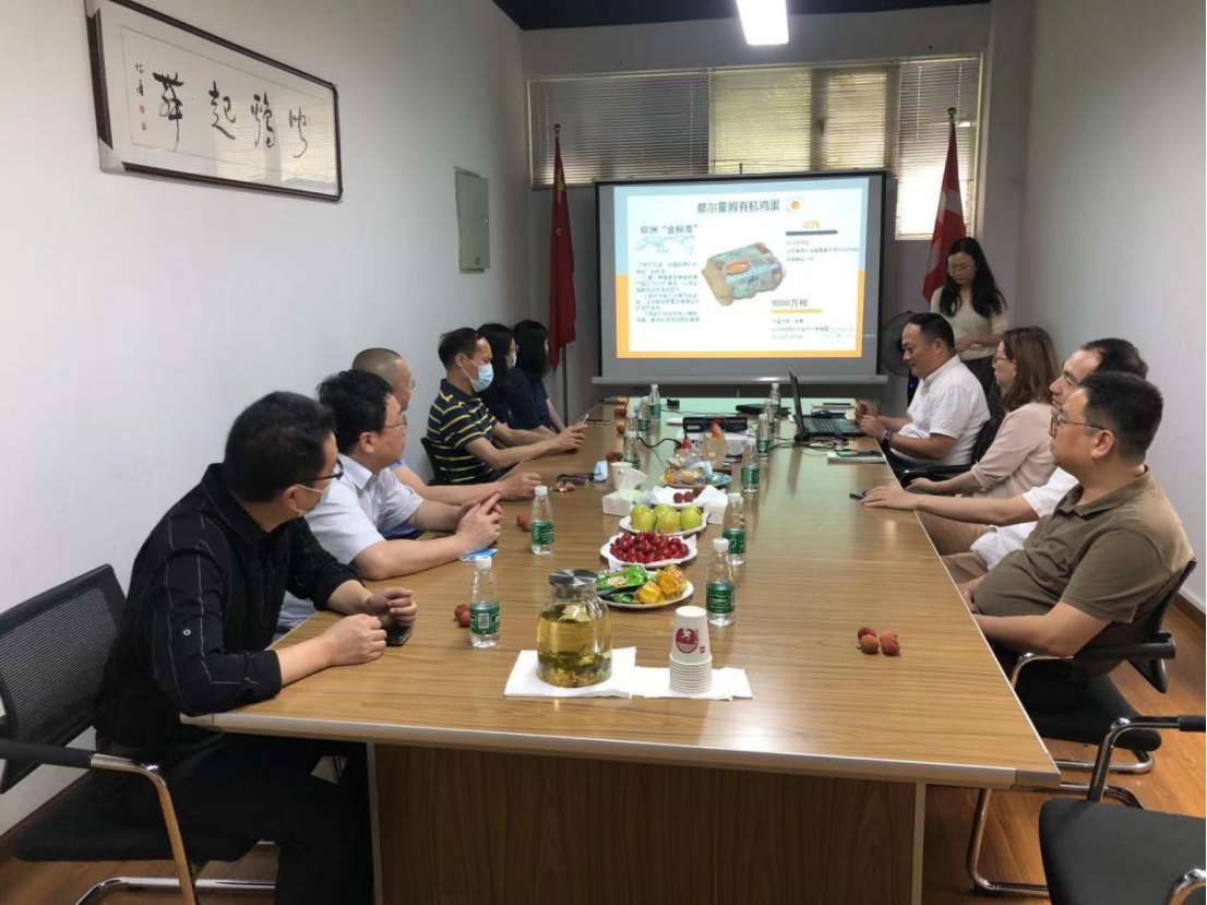 S36沙龙会 - 要玩就玩沙龙会