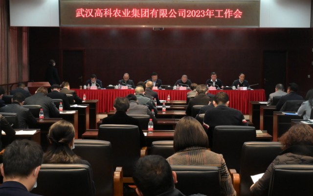 S36沙龙会 - 要玩就玩沙龙会
