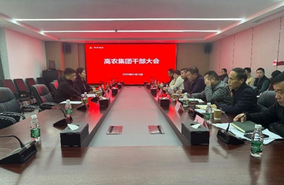 S36沙龙会 - 要玩就玩沙龙会