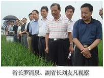 554b7e523b8d5 S36沙龙会 - 要玩就玩沙龙会