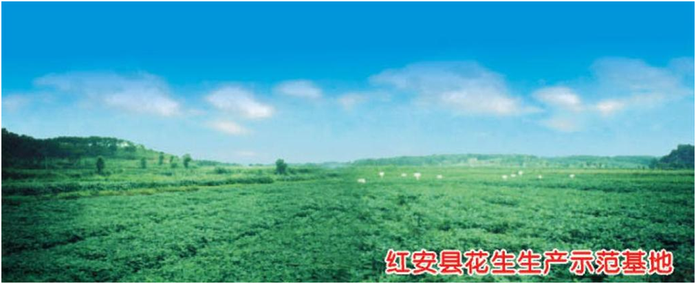 S36沙龙会 - 要玩就玩沙龙会
