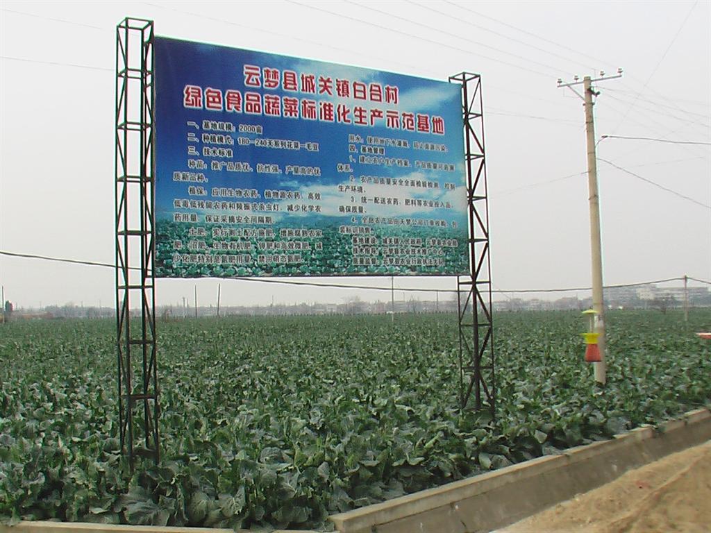 S36沙龙会 - 要玩就玩沙龙会
