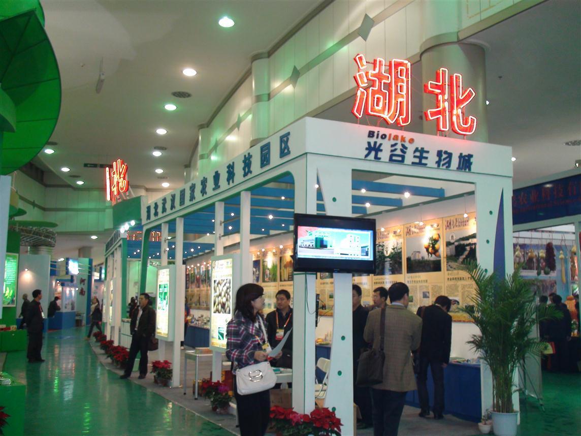 S36沙龙会 - 要玩就玩沙龙会