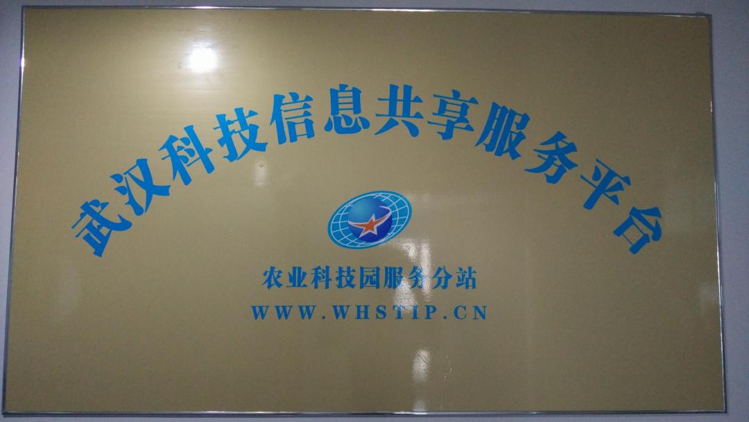 S36沙龙会 - 要玩就玩沙龙会
