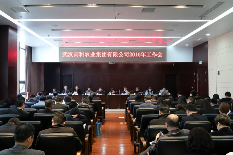 S36沙龙会 - 要玩就玩沙龙会