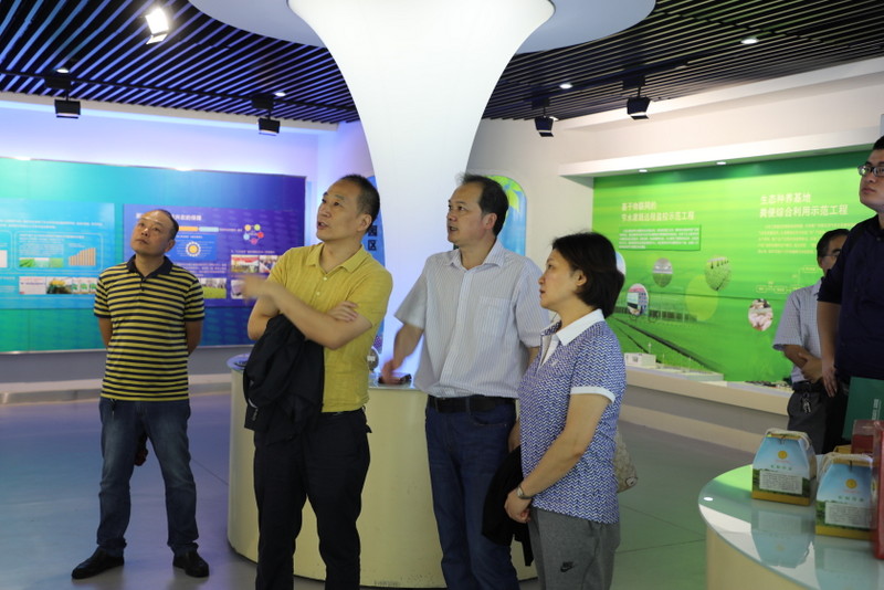 S36沙龙会 - 要玩就玩沙龙会
