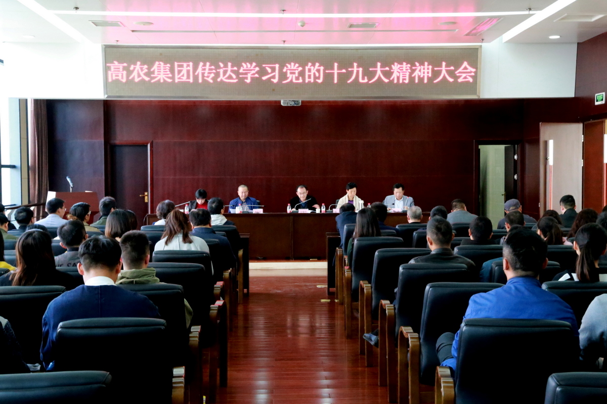 S36沙龙会 - 要玩就玩沙龙会