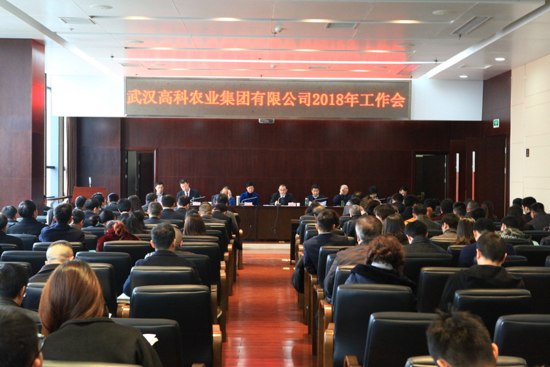S36沙龙会 - 要玩就玩沙龙会