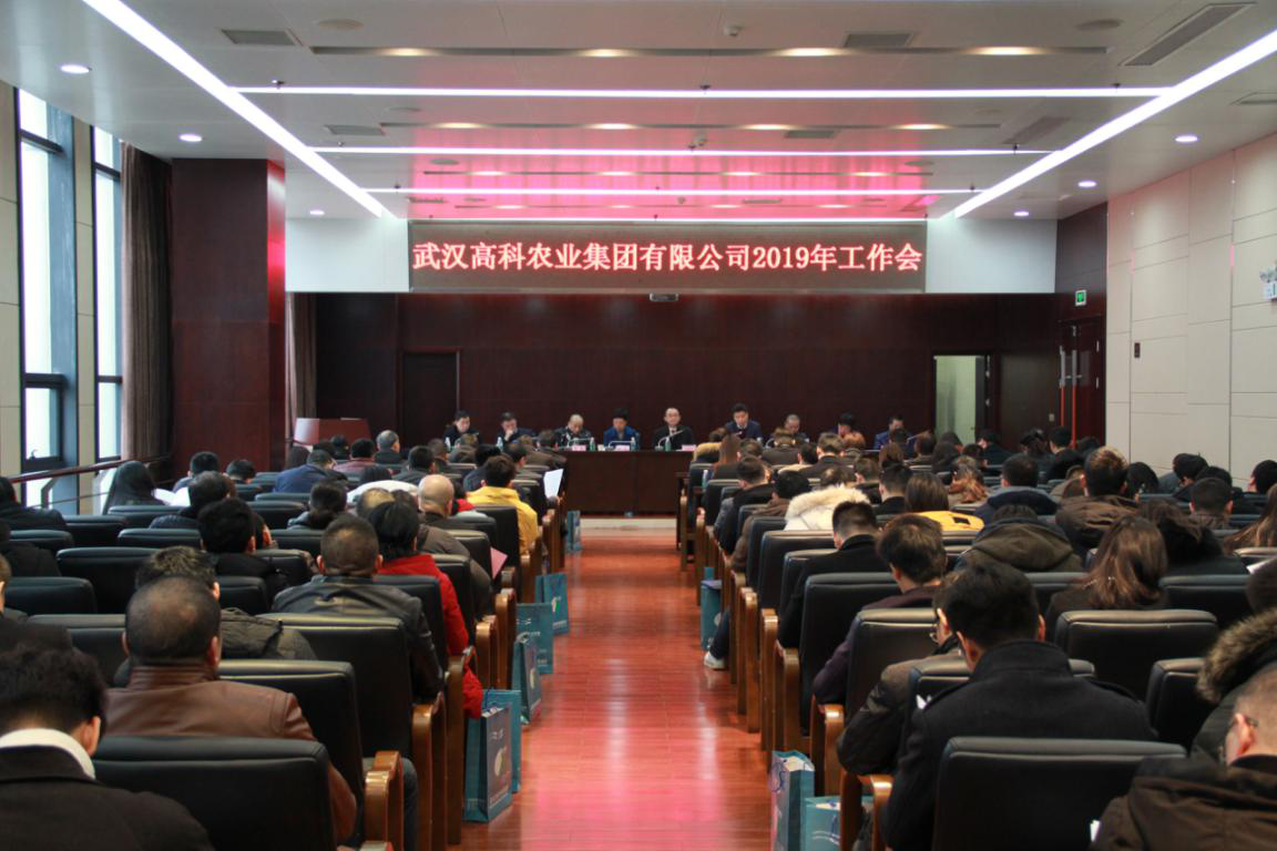 S36沙龙会 - 要玩就玩沙龙会