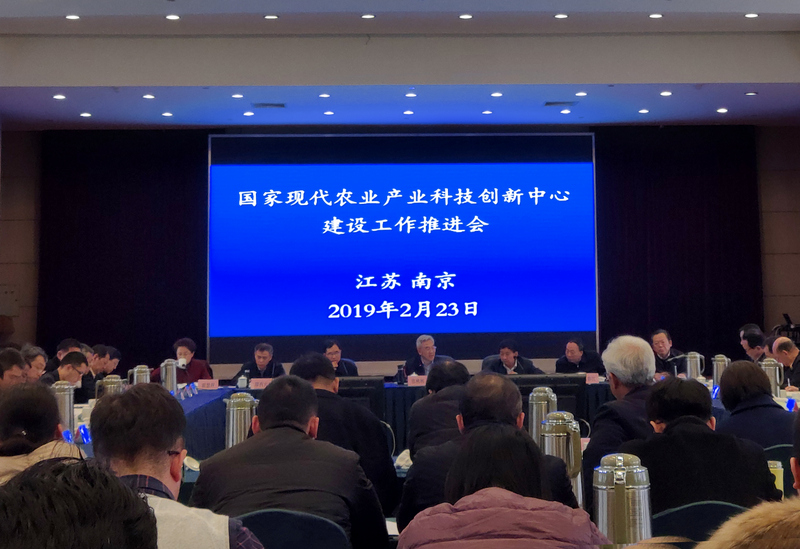 S36沙龙会 - 要玩就玩沙龙会