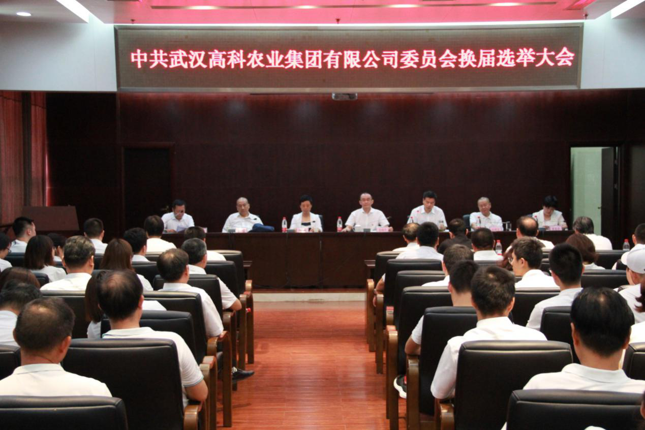 S36沙龙会 - 要玩就玩沙龙会
