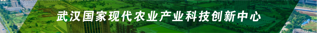 S36沙龙会 - 要玩就玩沙龙会