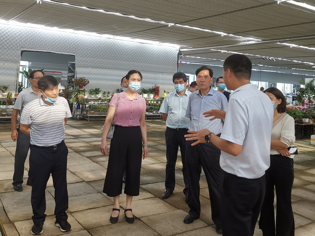 S36沙龙会 - 要玩就玩沙龙会