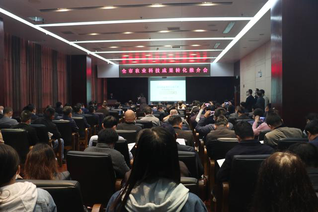 S36沙龙会 - 要玩就玩沙龙会
