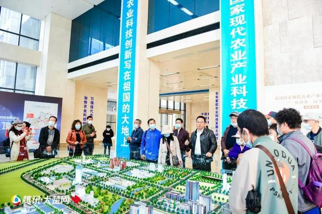 S36沙龙会 - 要玩就玩沙龙会