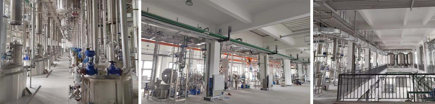 w88win优德(中国)官方网站