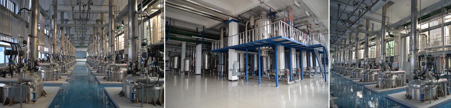 w88win优德(中国)官方网站